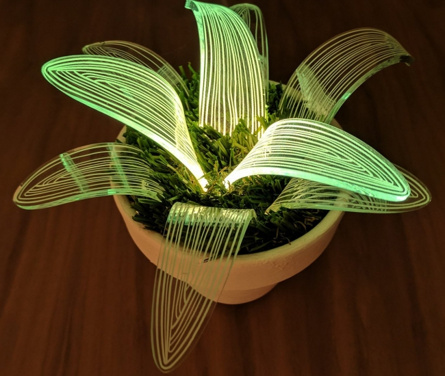 Cactus Plant Lamp