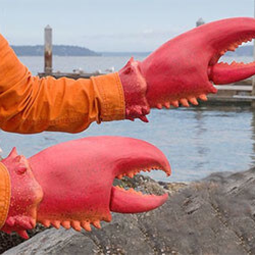 Giant Lobster Claws