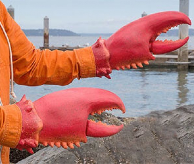 Giant Lobster Claws