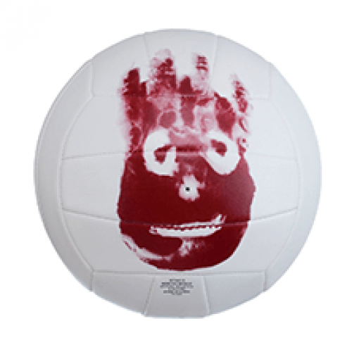 Mr. Wilson Volleyball
